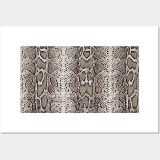 SnakeSkin Print Posters and Art